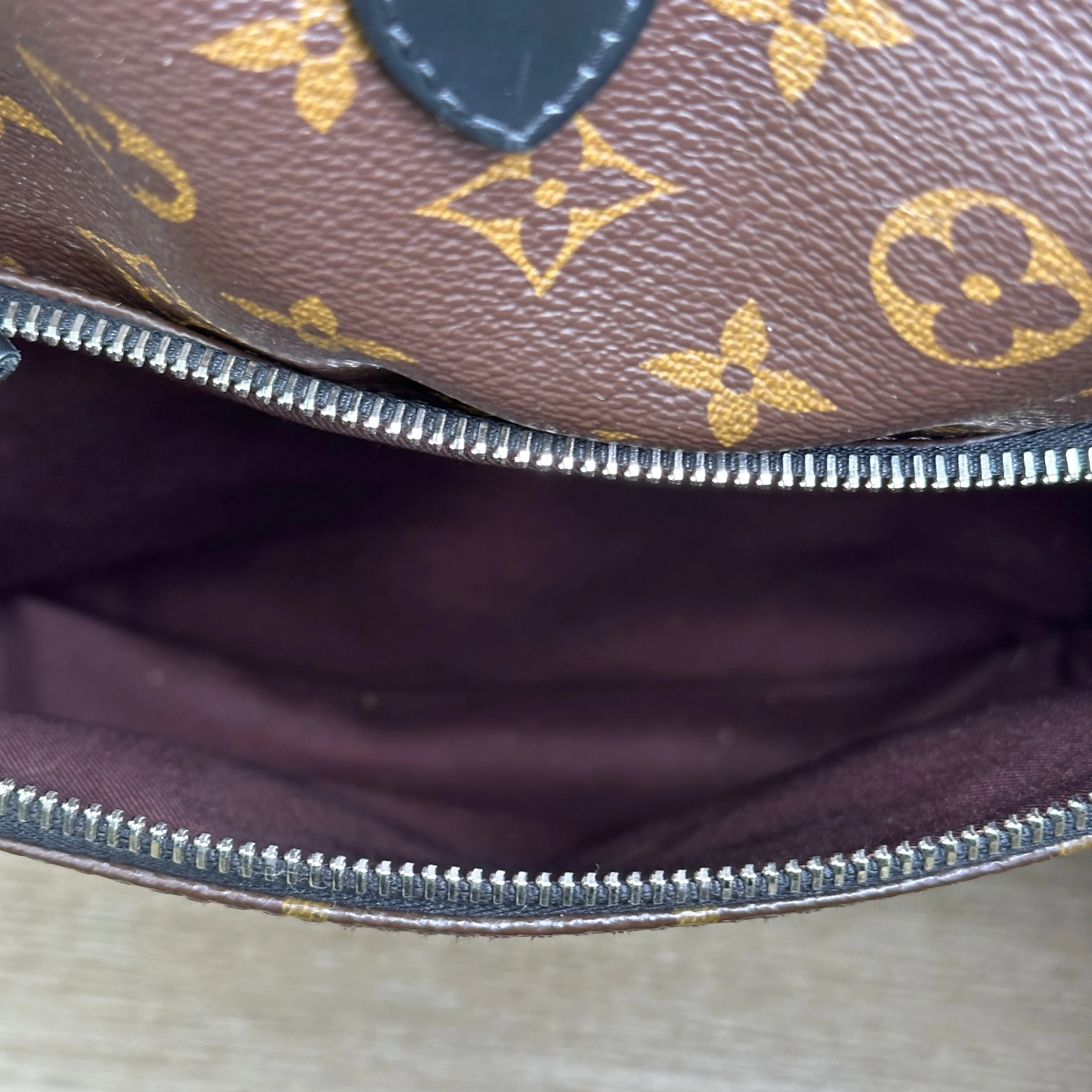 Louis Vuitton Monogram Macassar Zack Backpack